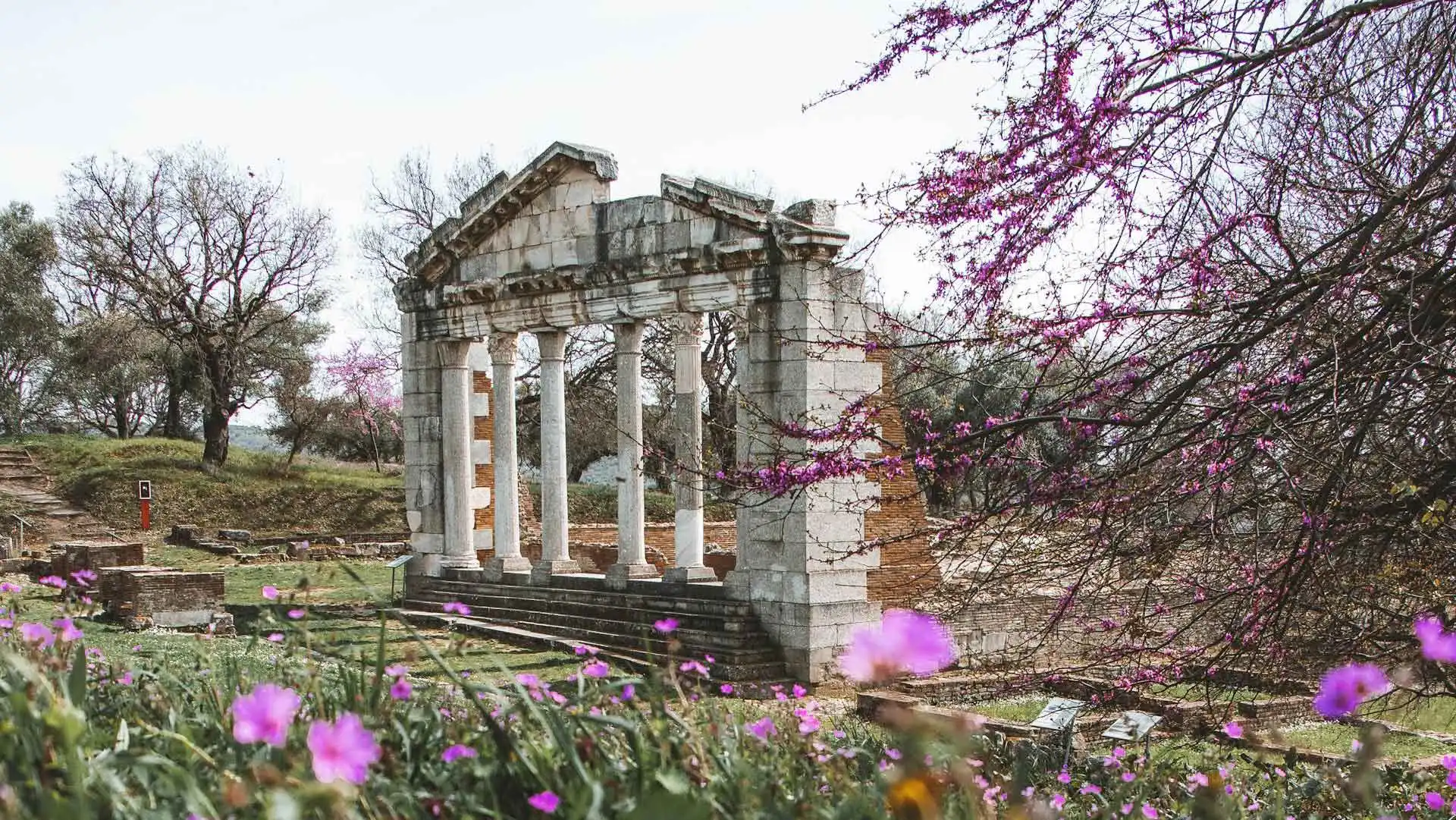 Discover Fier, Albania: A Hidden Gem for Travelers